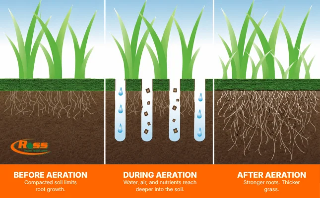 How does core-aeration work?