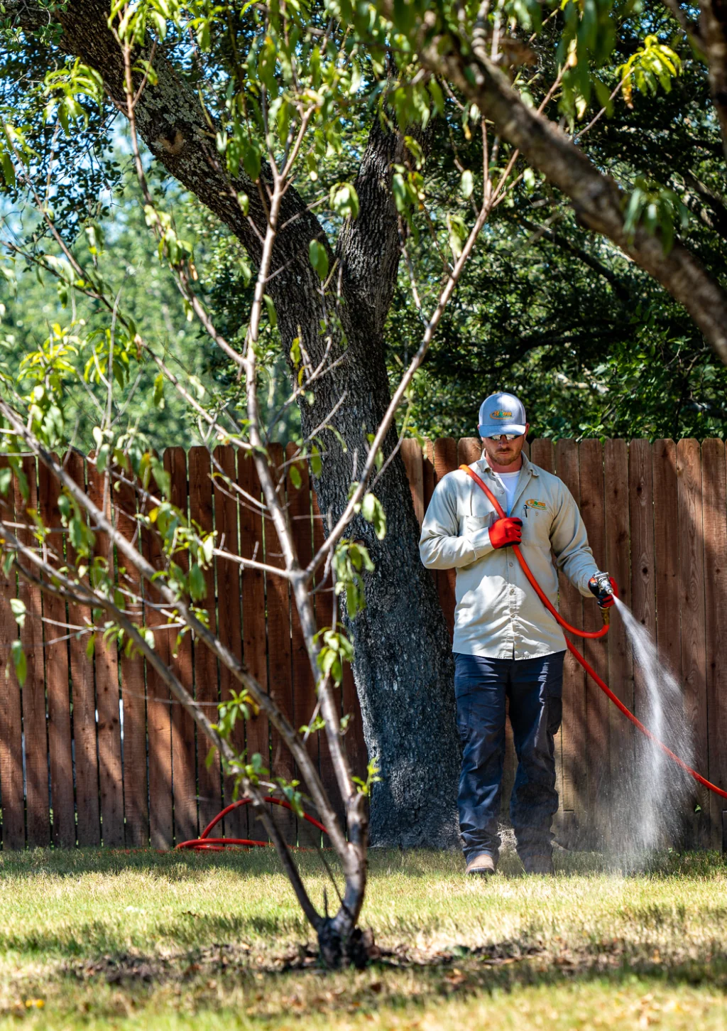 Ornamental Care in parker county tx