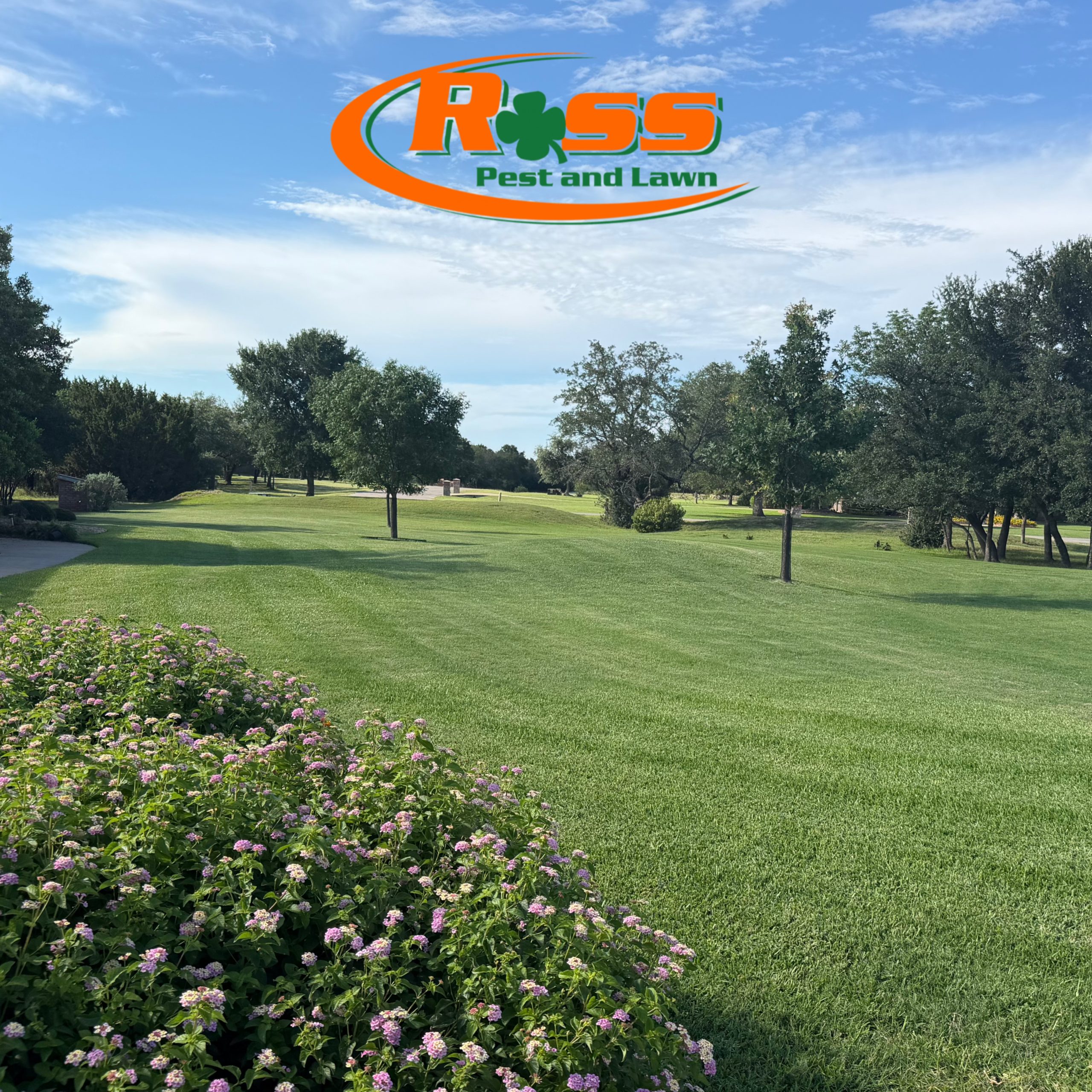 Lawn after fertilization treatment