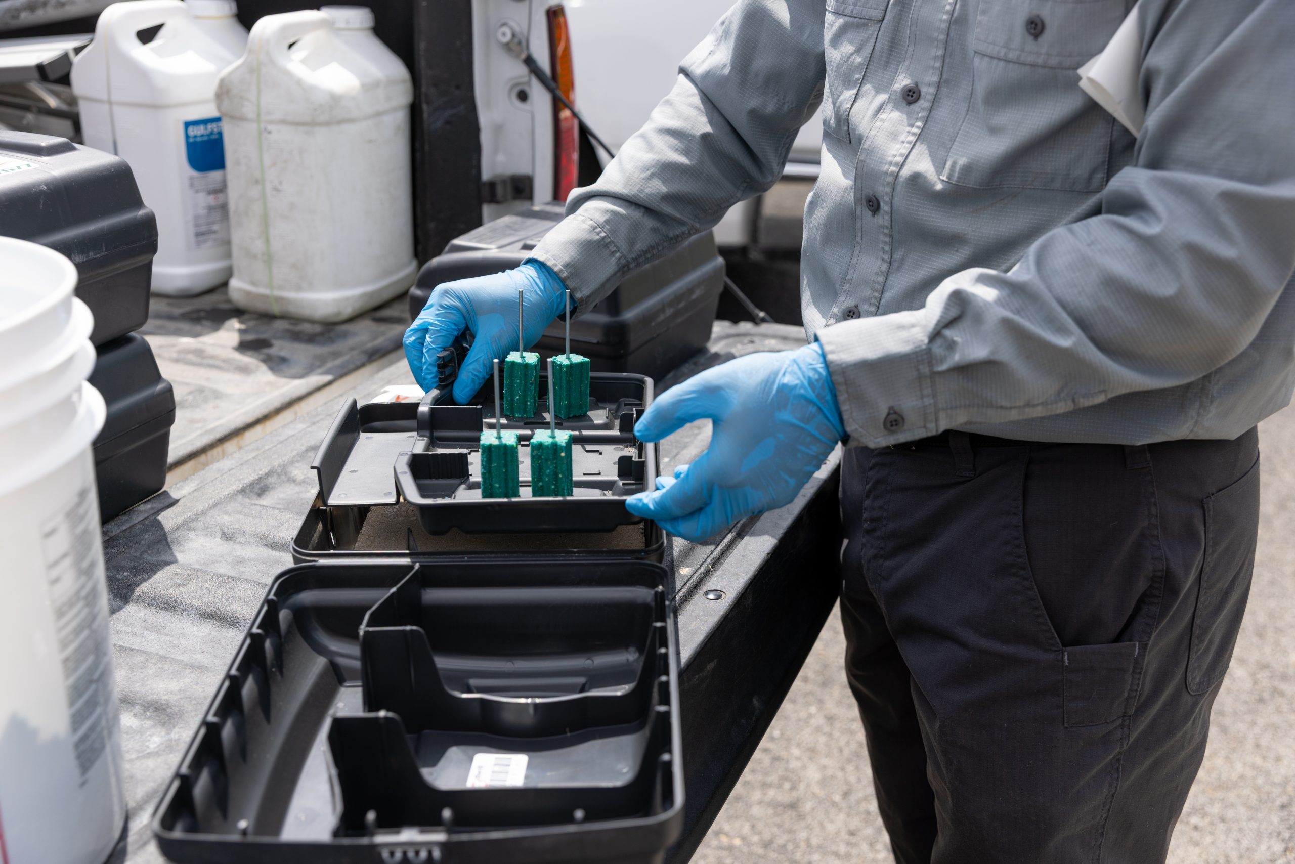 tech filling bait stations