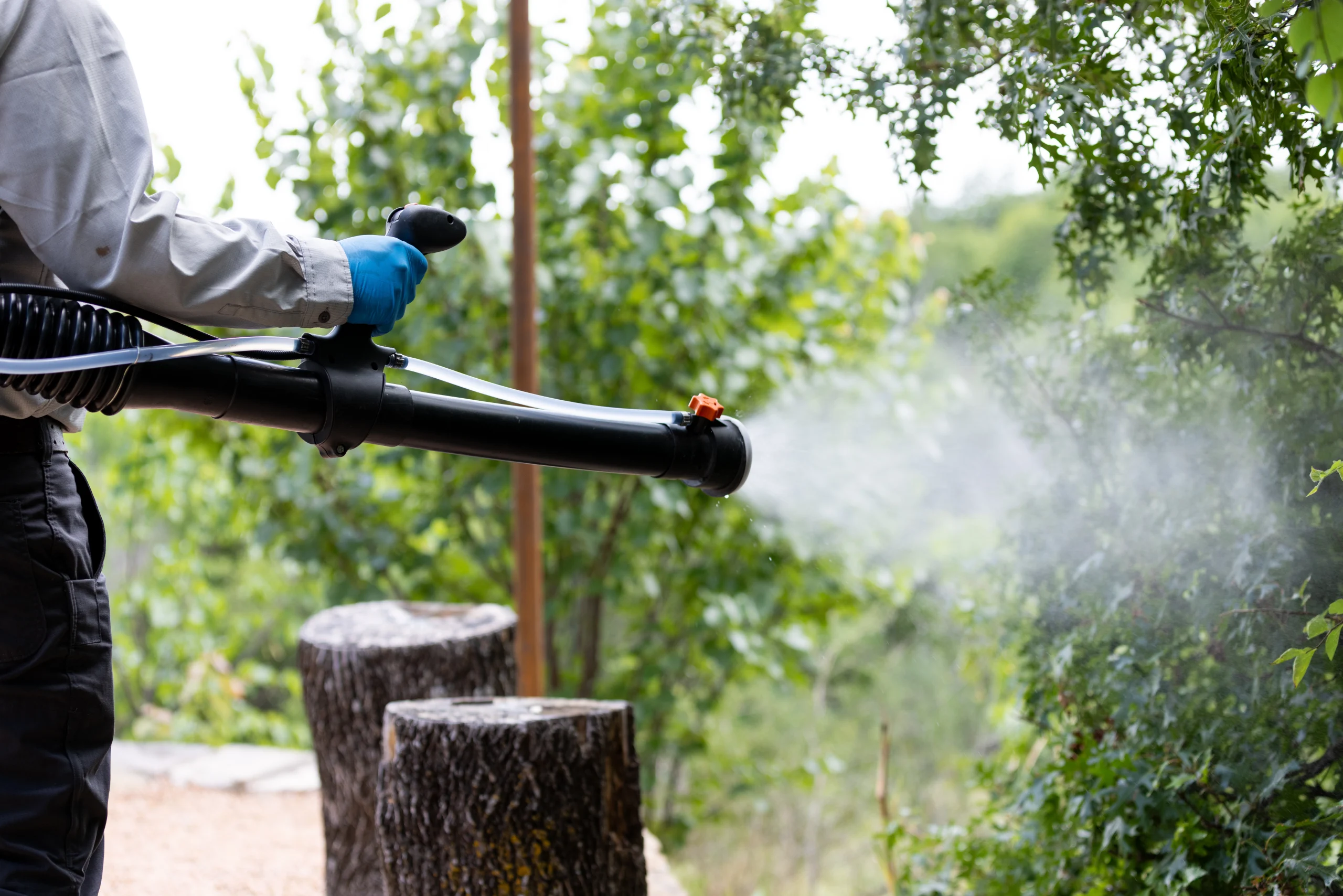 Fogging mosquitoes